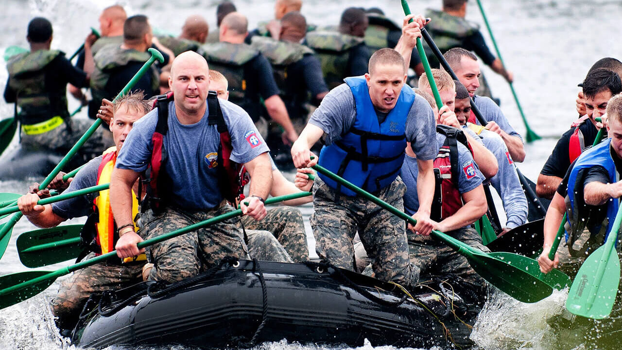 Fight Breaks Out mattis felis consec